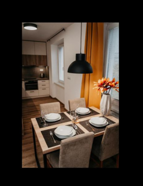Old Town city center apartment 2 - private parking included